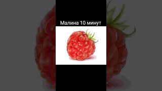 Малина 10 Минут