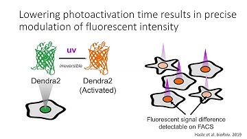 Deep Mutational Scanning with Visual Phenotypes, Nick Hasle