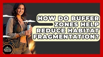 How Do Buffer Zones Help Reduce Habitat Fragmentation? - Exploring Campgrounds