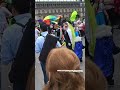 ¡Inolvidable! El Mega Carnaval de Carnavales CDMX: Chinelos, Charros y Tradición en el Zócalo:6 30