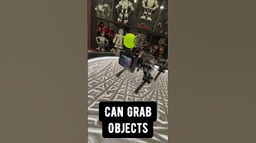 The Dancing Robot Dog with an Arm! 🤖😮 XGO-MINI2 #shorts