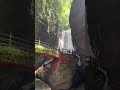 息をのむほどの迫力。高知は自然の都会やき。#shorts