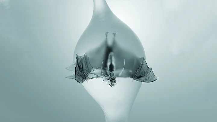 Unprocessed - 'Angel' (FULL ALBUM VISUALIZER)