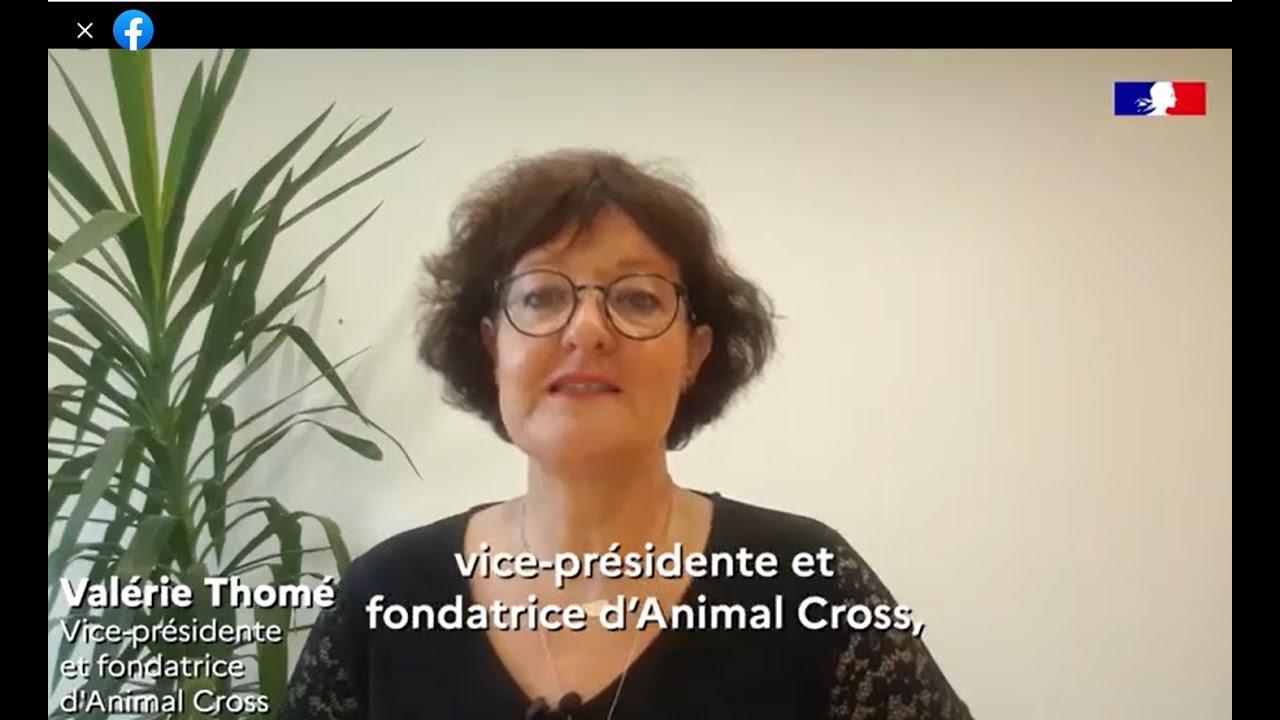 Animal Cross - association de protection des animaux