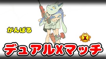 絶滅危惧種デュアルスイーパー蹄でエリアやるぞ！【xp4040/splatoon3】