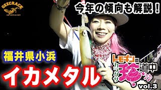 『トモチンの唐草珍道中』vol.3 夏到来！大人の夜遊びイカメタル編（福井県小浜）
