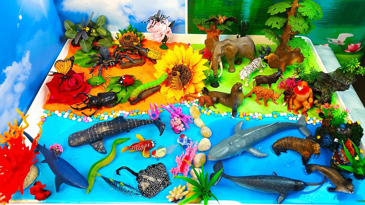 Aprenda nombres y datos animales -Insectos, Peces y Mamíferos- Construir diorama-ciencia para niños