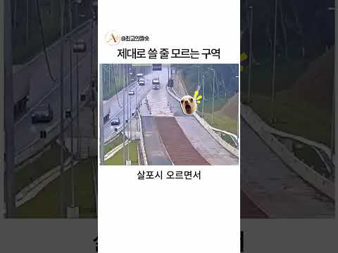 제대로 쓸 줄 모르는 구역이라는데 thumbnail