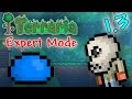 Terraria 1.3 - Expert Mode! (Funny Moments and Fails) [2]