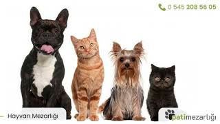 Hayvan Mezarlığı Patimezarligi