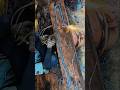 thick metal plate cutting process#shorts #satisfying #working #welding #diy