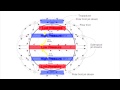 Understanding Planetary Winds and Jet Streams
