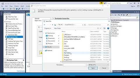 File System Task Demo