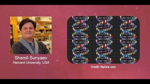 Causes and Consequences of Our Genetic Diversity | Shamil Sunyaev