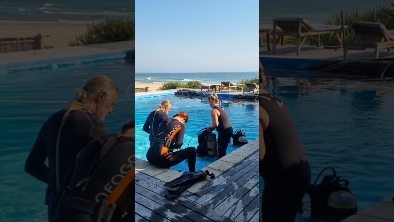 Discover Scuba Diving Paradise at Barra Reef Divers in Mozambique | SSI Certified Dive Center