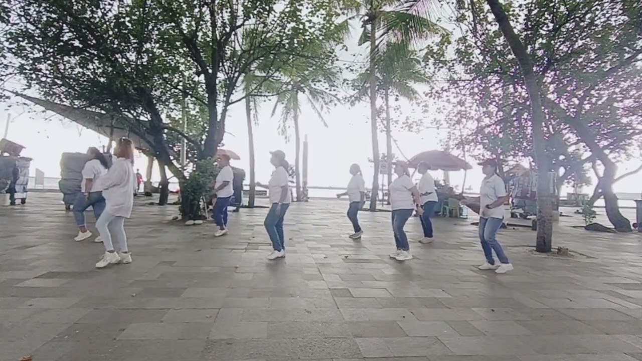 Do Si Dough Line Dance (Demo)