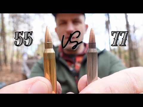 Which type of ammo is best for your shorty AR-15?