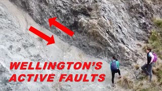 Wellington's Many Active Faults