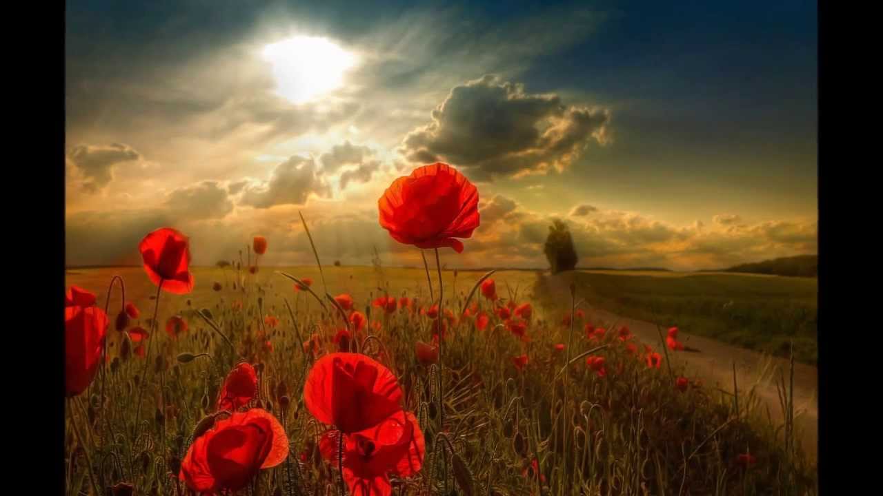 Regardez Devotion - Tracy Chapman (Lyrics) sur YouTube Regardez Devotion - Tracy Chapman (Lyrics) sur YouTube