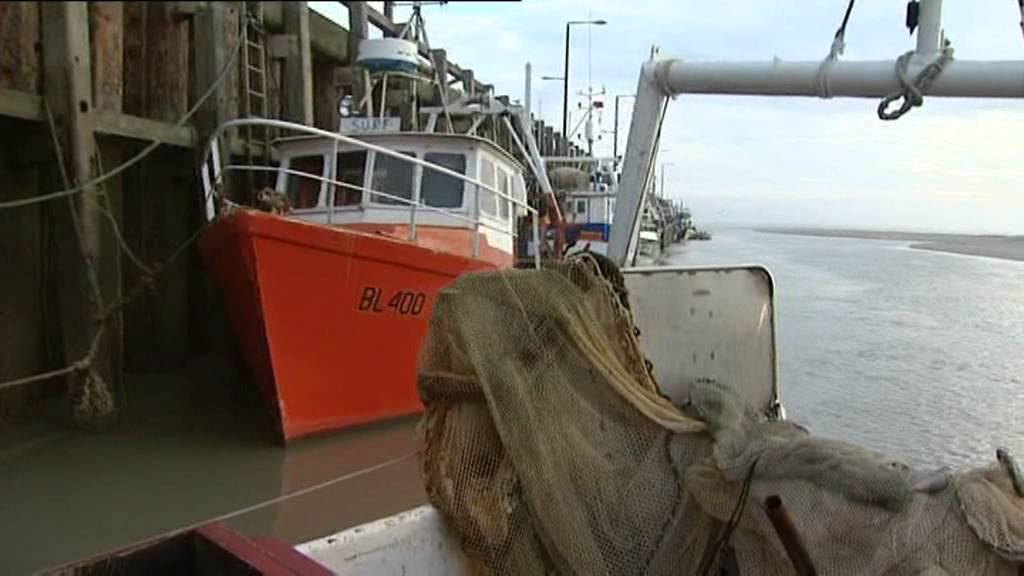 Bébé Derosière, Loup de Baie