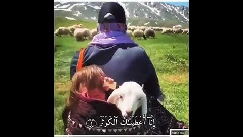 سورة الكوثر #حالات #واتساب #قرآن_كريم #عبدالرحمن_مسعد #اسلام_صبحي #تلاوة_عذبة #الله #يارب #ياكريم