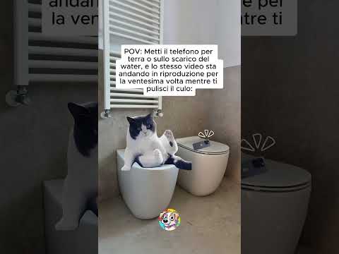 Se Stai Guardando Questo Video Mentre Caghi allora Hai Vinto nella Vita !  🚽 #shorts #memes