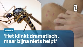 Muggenplaag op komst: dit zijn de do's en don'ts | L1 Nieuws