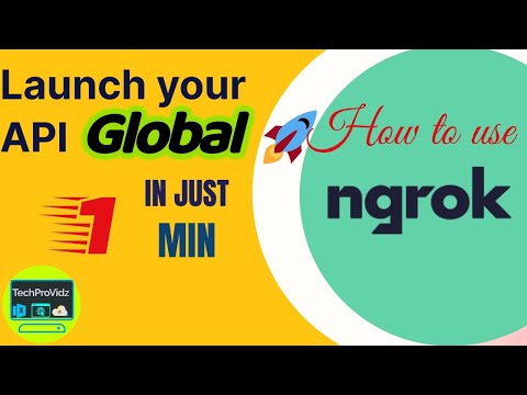How to use NgRok Tool | Deploy Local API to public in seconds