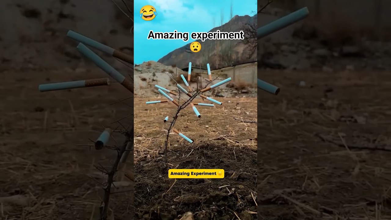 amazing experiment ||Akash maurya || 