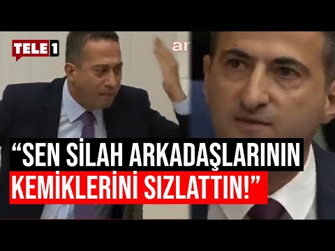 Ali Mahir Başarır'dan Meclis'te Mehmet Ali Çelebi'ye: Sen rüzgargülü gibi dönüyorsun!