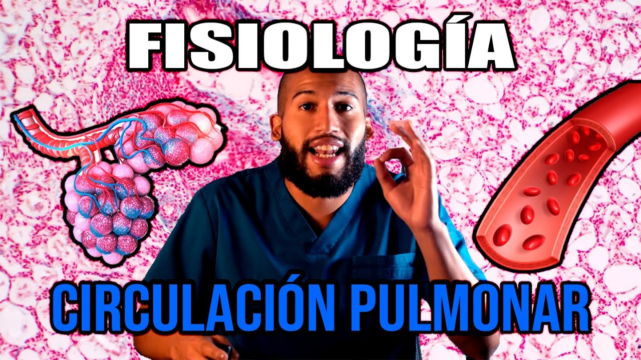 Fisiología Respiratoria - Circulación PULMONAR (Vasos PULMONARES y BRONQUIALES, Linfa, Zonas)