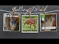 Beginning of video