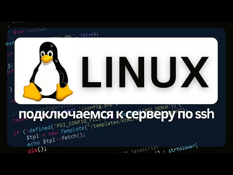 Как подключиться к серверу Linux по SSH протоколу