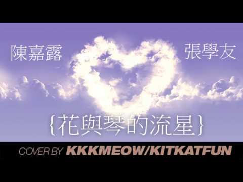 花與琴的流星------ cover version