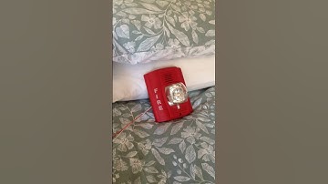 System Sensor P2R horn strobe