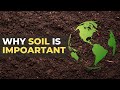 The Vital Role of Soil in Our Ecosystem and Food Security