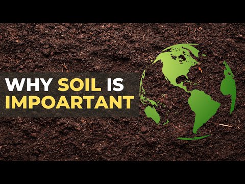 Video: De ce este important nămolul pentru sol?