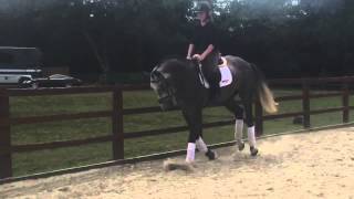 Carlos flat work for sale