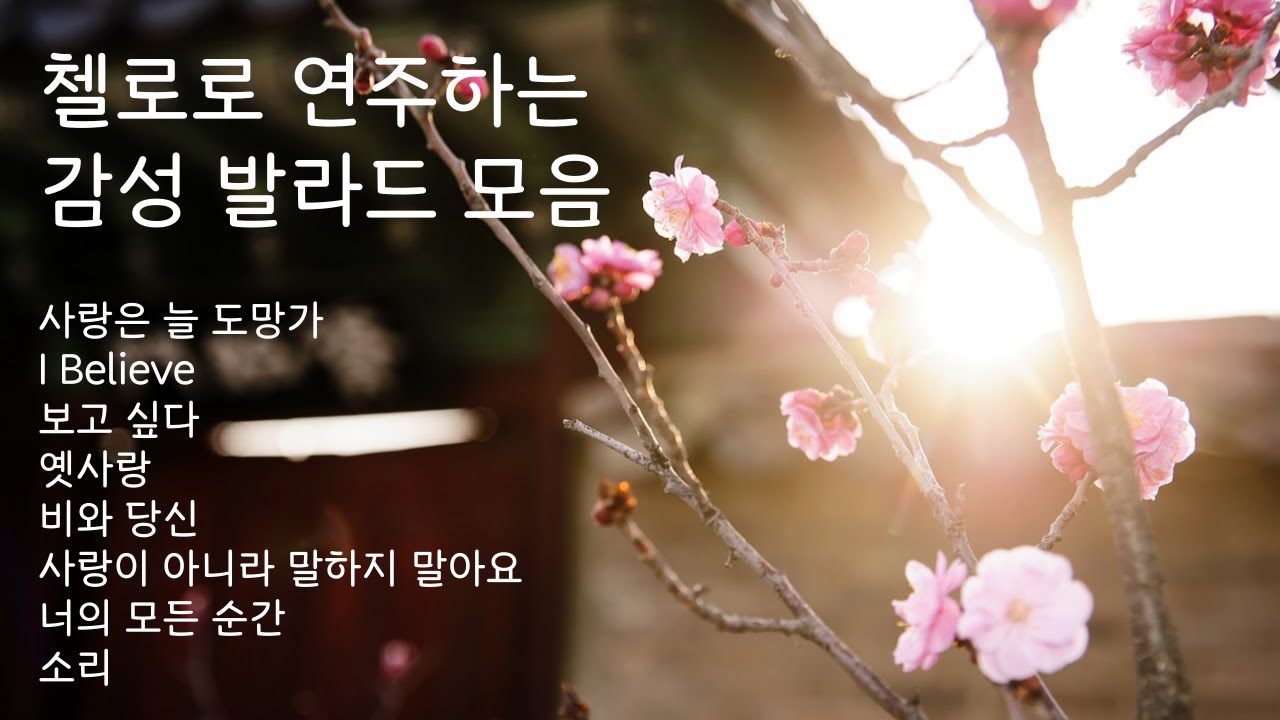 첼로로 연주하는 감성 발라드 모음 (feat. 중간광고없음)ㅣ사랑은 늘 도망가ㅣI Believeㅣ보고싶다ㅣ옛사랑ㅣ비와 당신ㅣ너의 모든 순간ㅣ이수현ㅣ악뮤ㅣ임영웅ㅣ엽기적인그녀