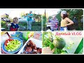 Дачный VLOG: Вся семья на даче. Шашлык, игры, развлечения. #garden