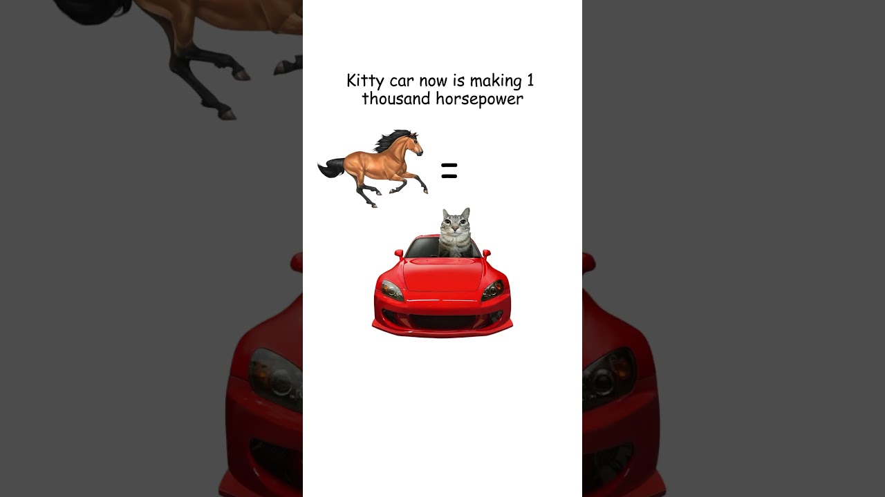 VTEC explained by kitty mechanic 😌 