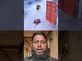 #duet #funny #reaction #bollywood #song #comedymove #funnyanimals