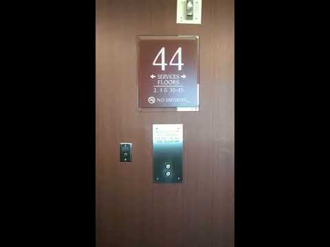 New York New York Hotel & Casino - Essex Suite - Las Vegas