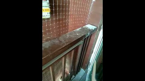 Manzil Pest control pvt ltd best Bird netting services 🐦