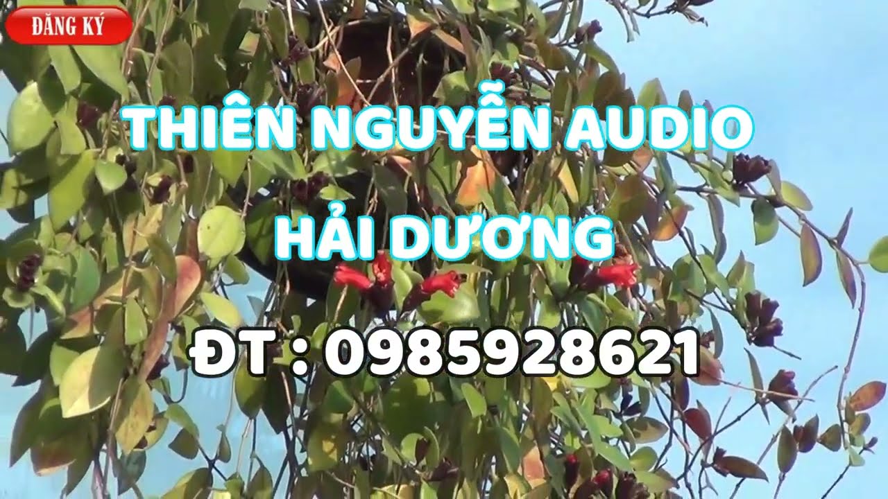 Những lỗi thường gặp khi Rút tiền W88 và cách khắc phục hiệu quả
