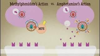 Amphetamine Vs. Methylphenidate
