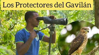 VIVEN EN LA MONTAÑA PARA PROTEGER LOS GAVILANES/ Guardianes del Gavilán de La Española