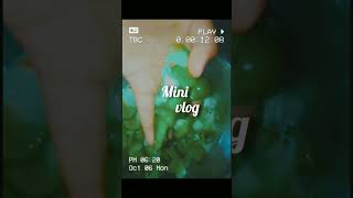 🌨🐚🌷mini vlog #lifestyle #food #desiviilagelifetstyle #selfempowerment #vloge