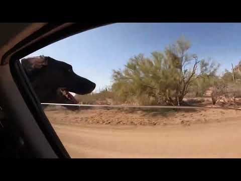 Edited Drive Stream in the Arizona Desert