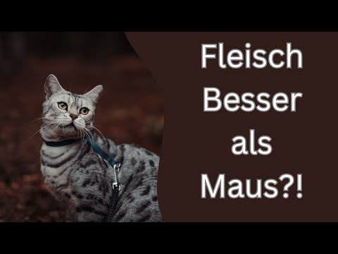 Video: Wofür wird Nausetil verwendet?